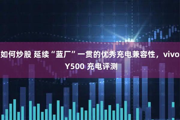 如何炒股 延续“蓝厂”一贯的优秀充电兼容性，vivo Y500 充电评测