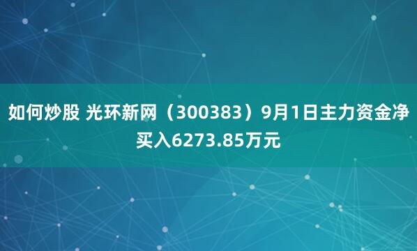 如何炒股 光环新网（300383）9月1日主力资金净买入6273.85万元