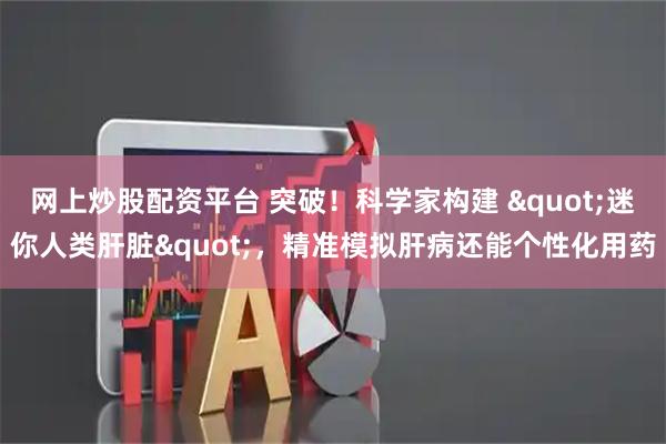 网上炒股配资平台 突破！科学家构建 "迷你人类肝脏"，精准模拟肝病还能个性化用药