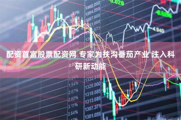 配资首富股票配资网 专家为扶沟番茄产业 注入科研新动能